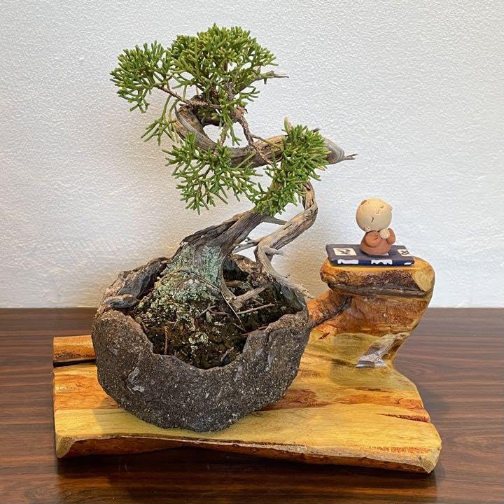 流木　花台　盆栽台　オブジェ 流木 花台 盆栽台 オブジェ